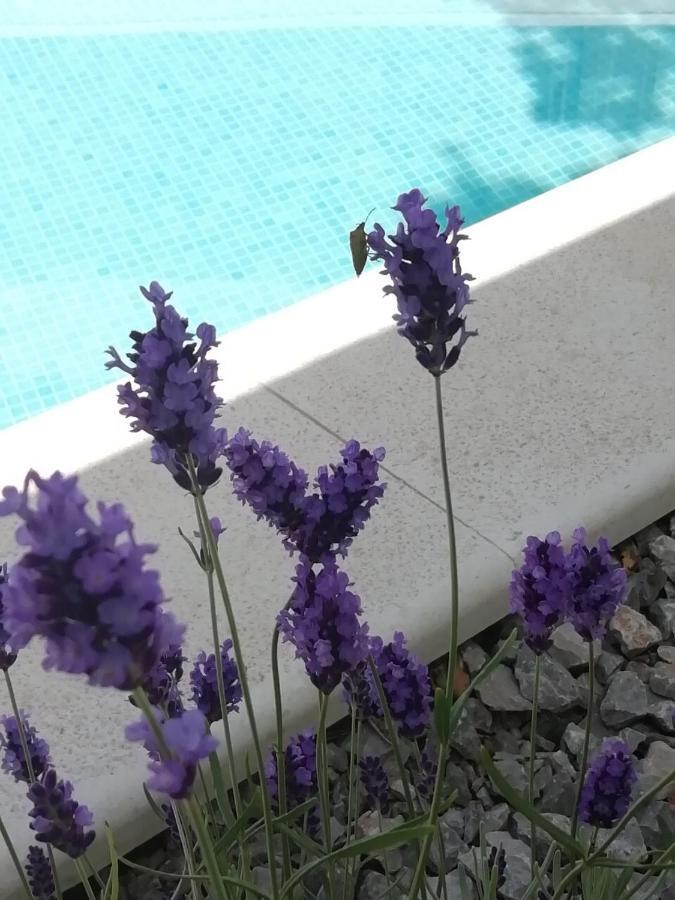 Vila Martina - Bellevue ชัมรีกา ภายนอก รูปภาพ